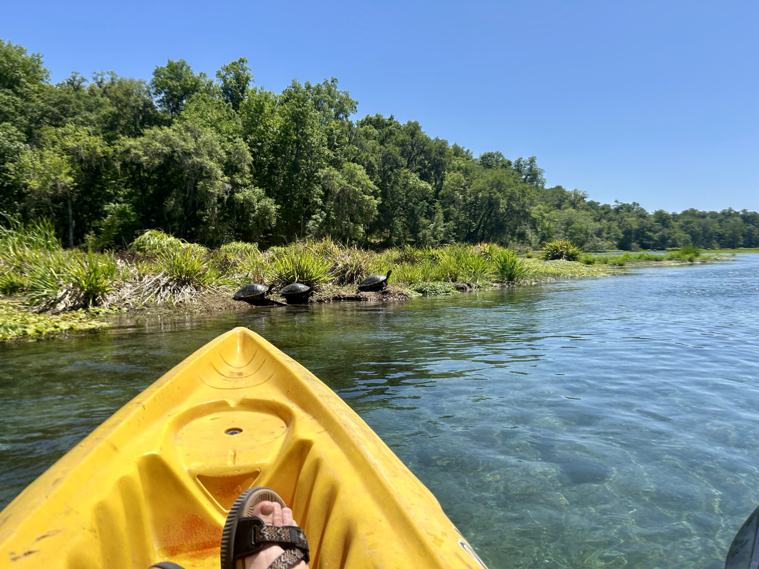 Kayaking down the Itchetucknee Springs